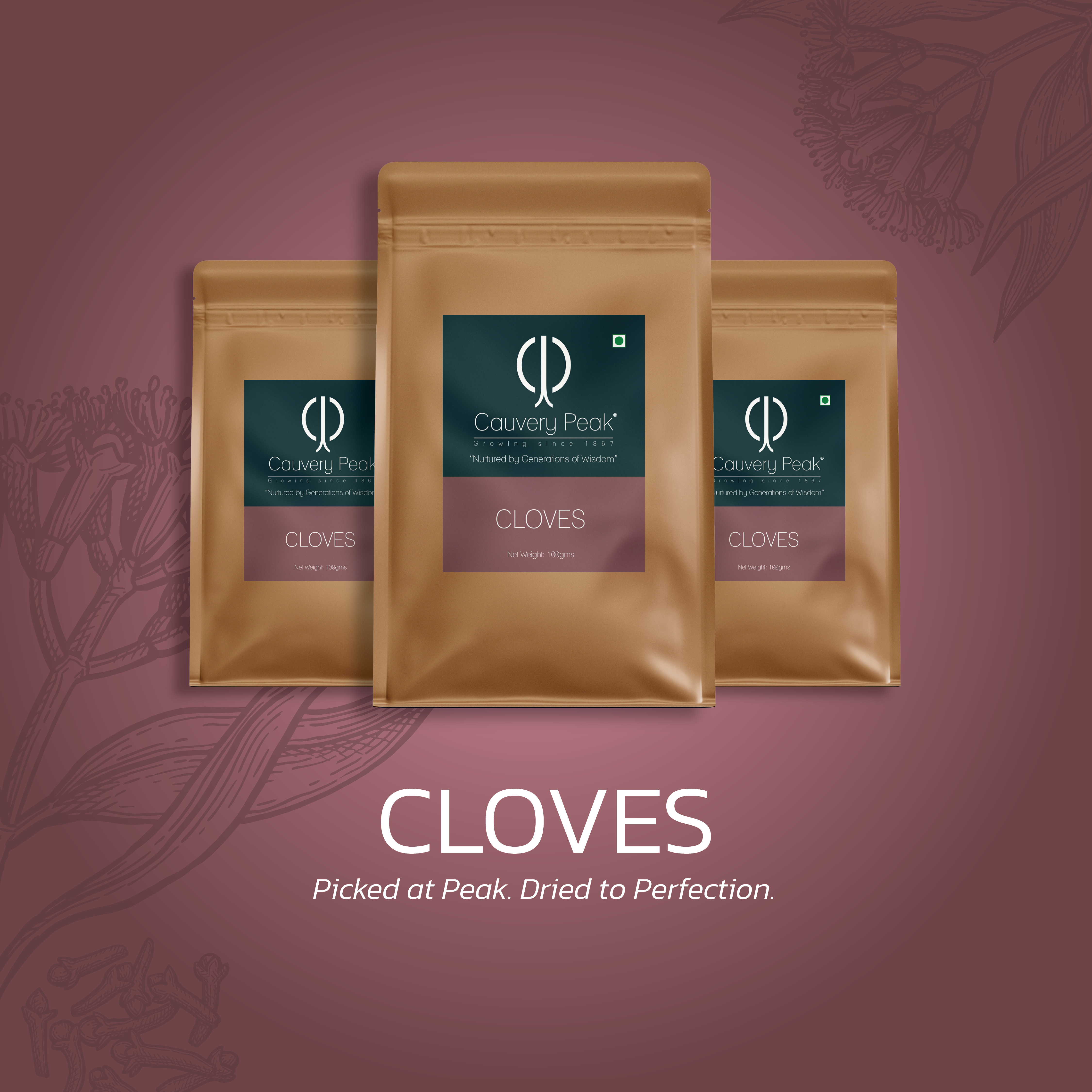 CLOVES