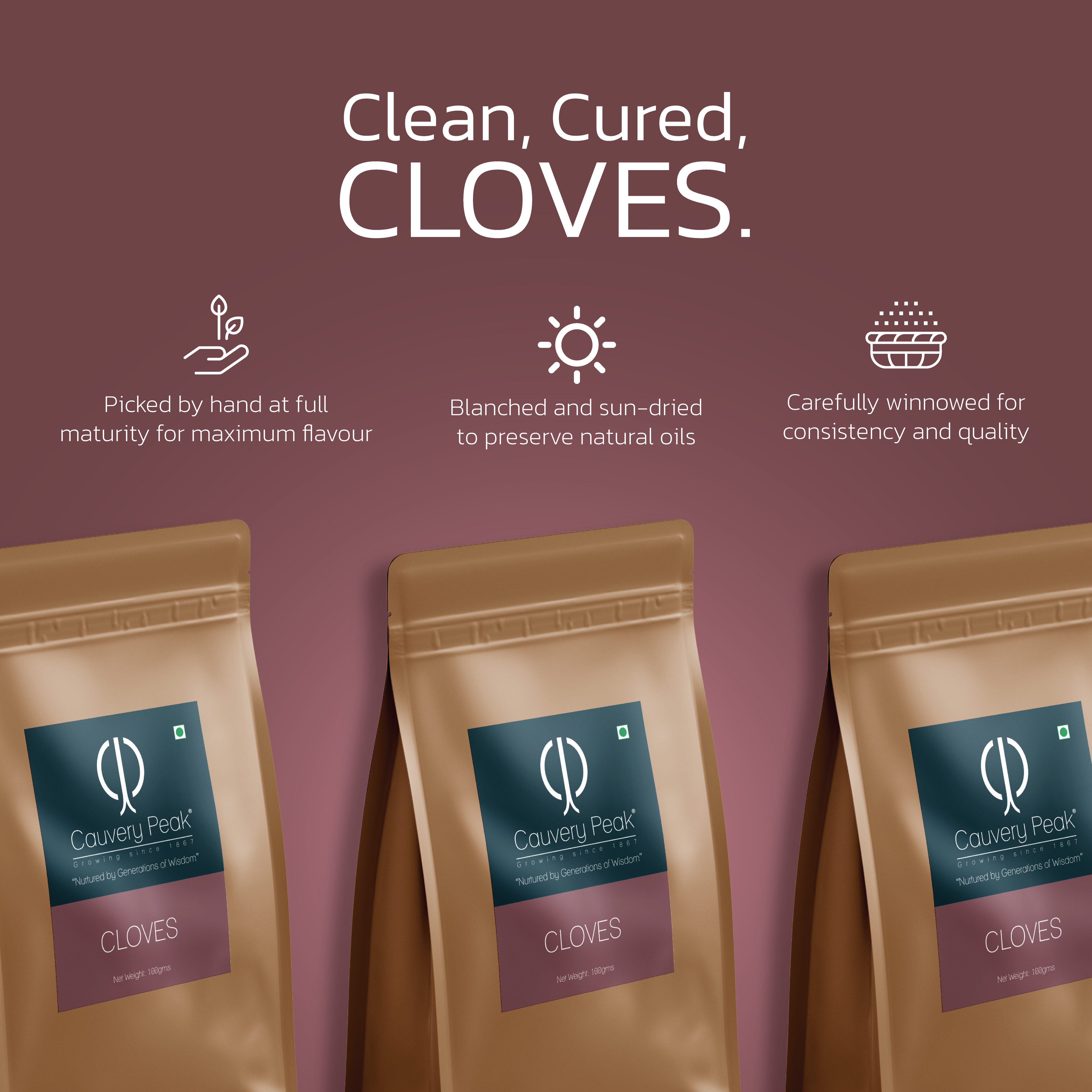 CLOVES