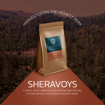 SHEVAROYS