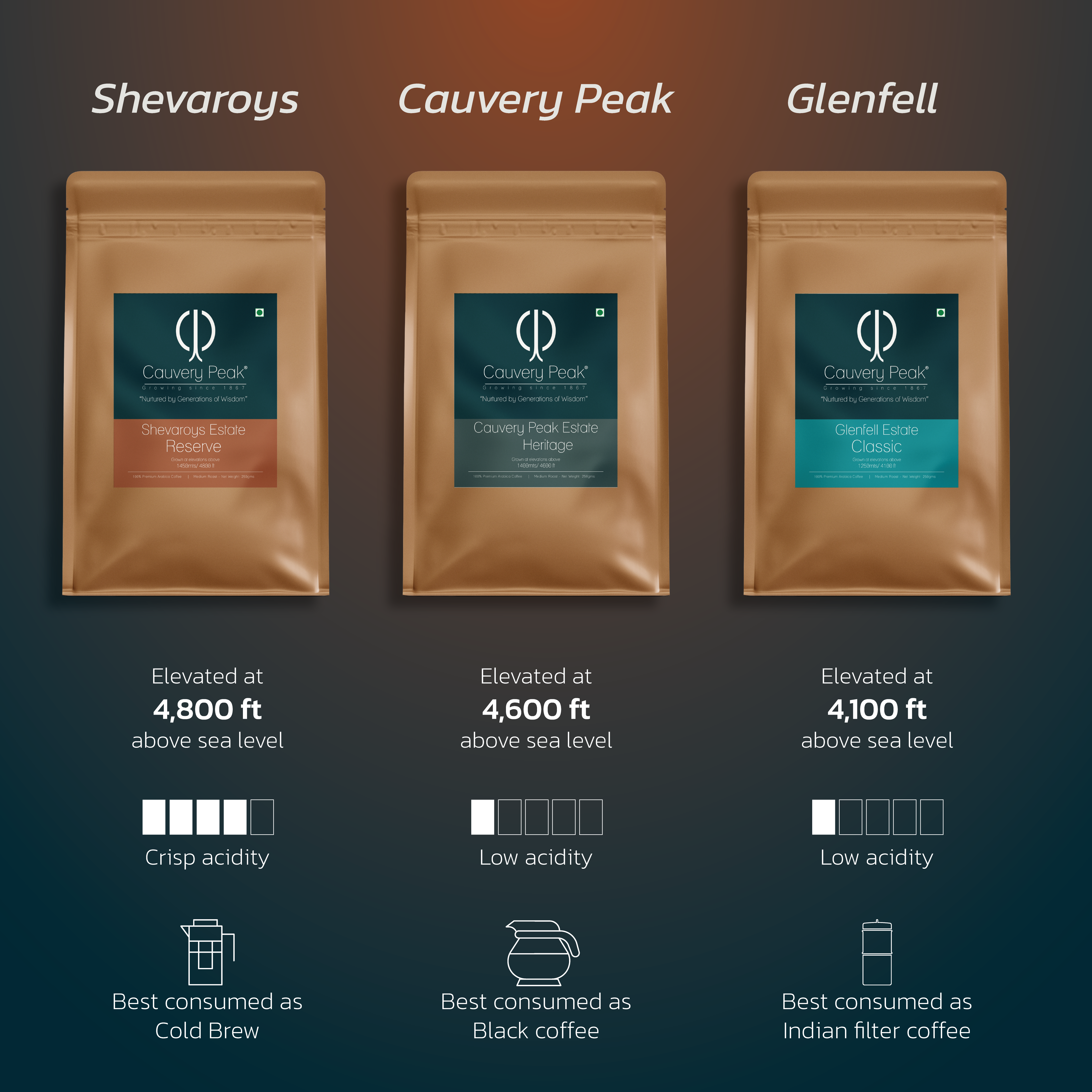 3 SINGLE ESTATES SAMPLER PACK