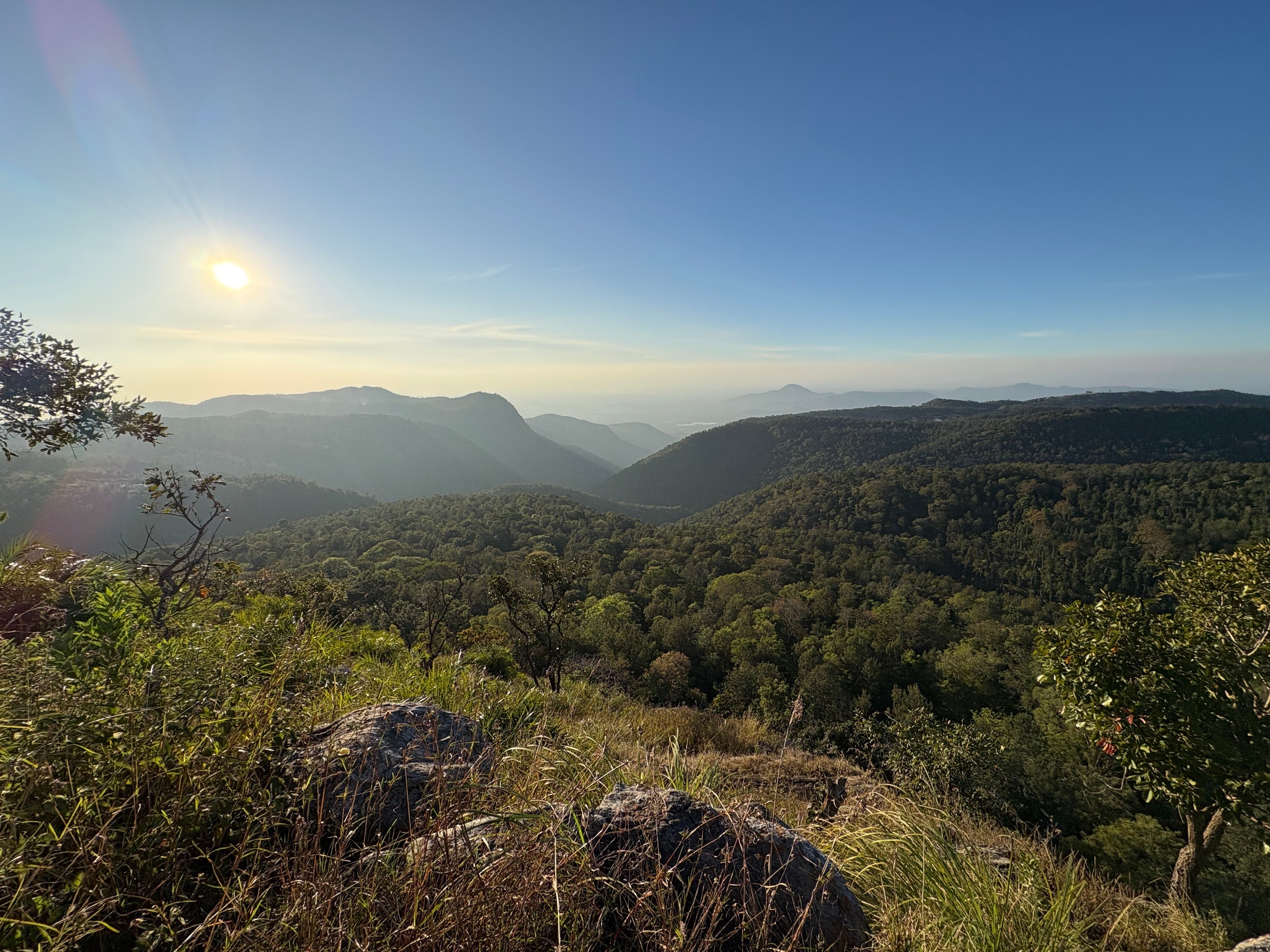 COFFEE EXPERIENCE TOUR