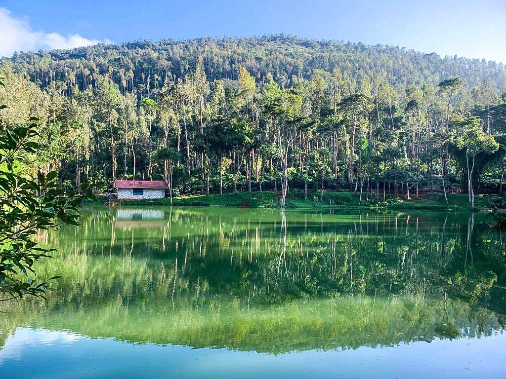 COFFEE EXPERIENCE TOUR