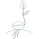PLANTING