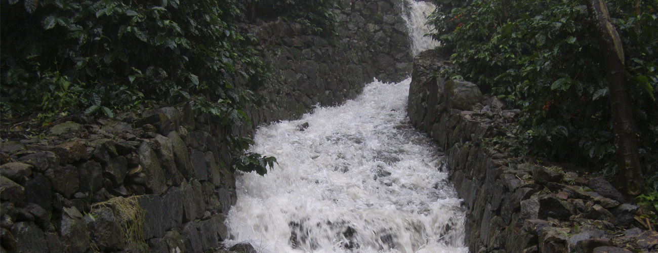 CAUVERY PEAK ESTATE HERITAGE
