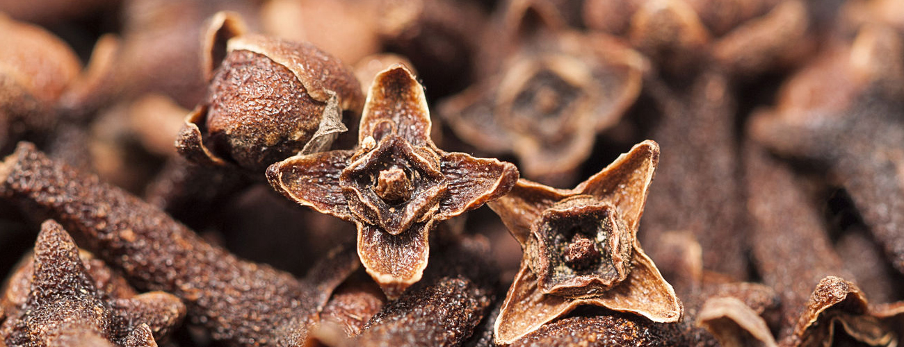 SPICES
