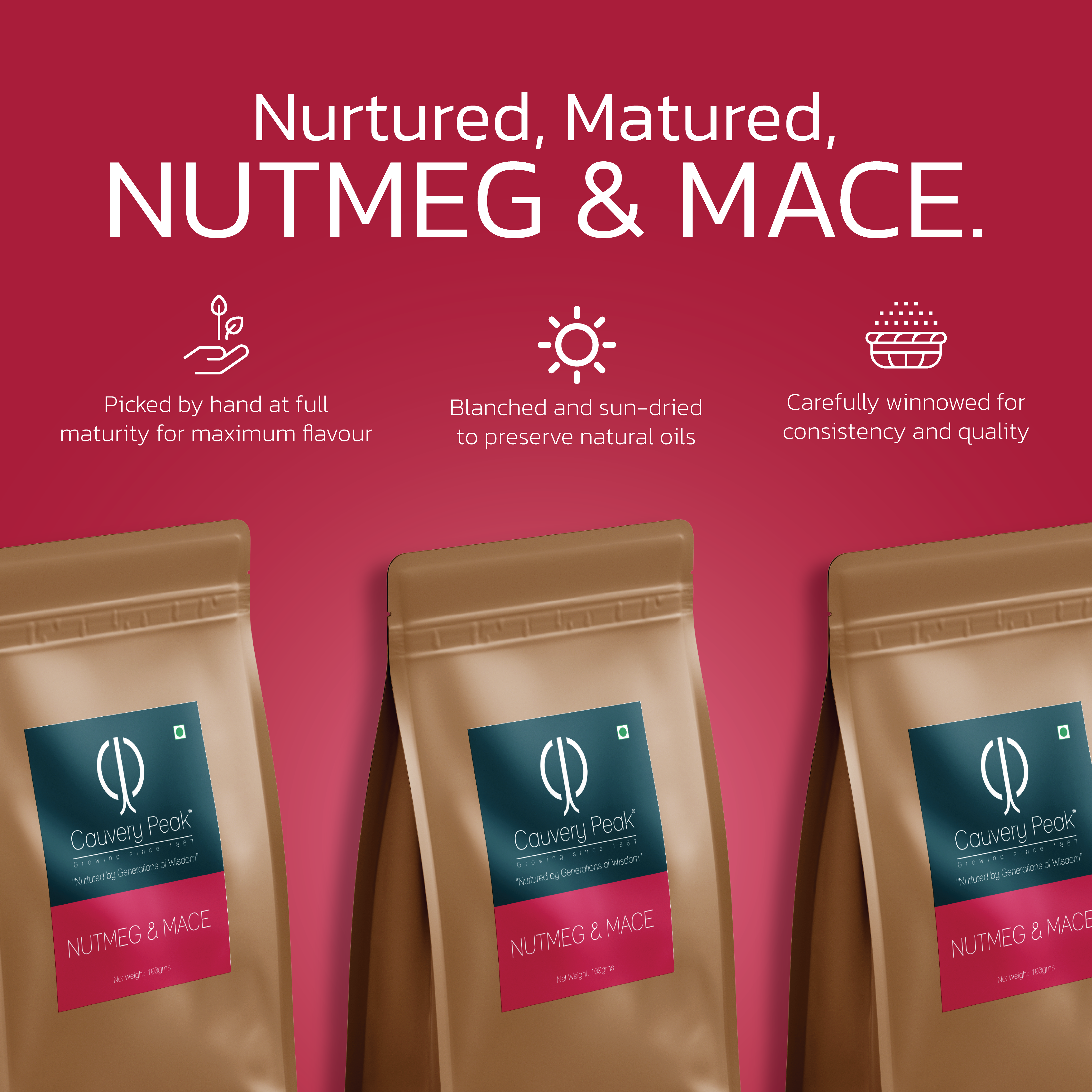 NUTMEG & MACE