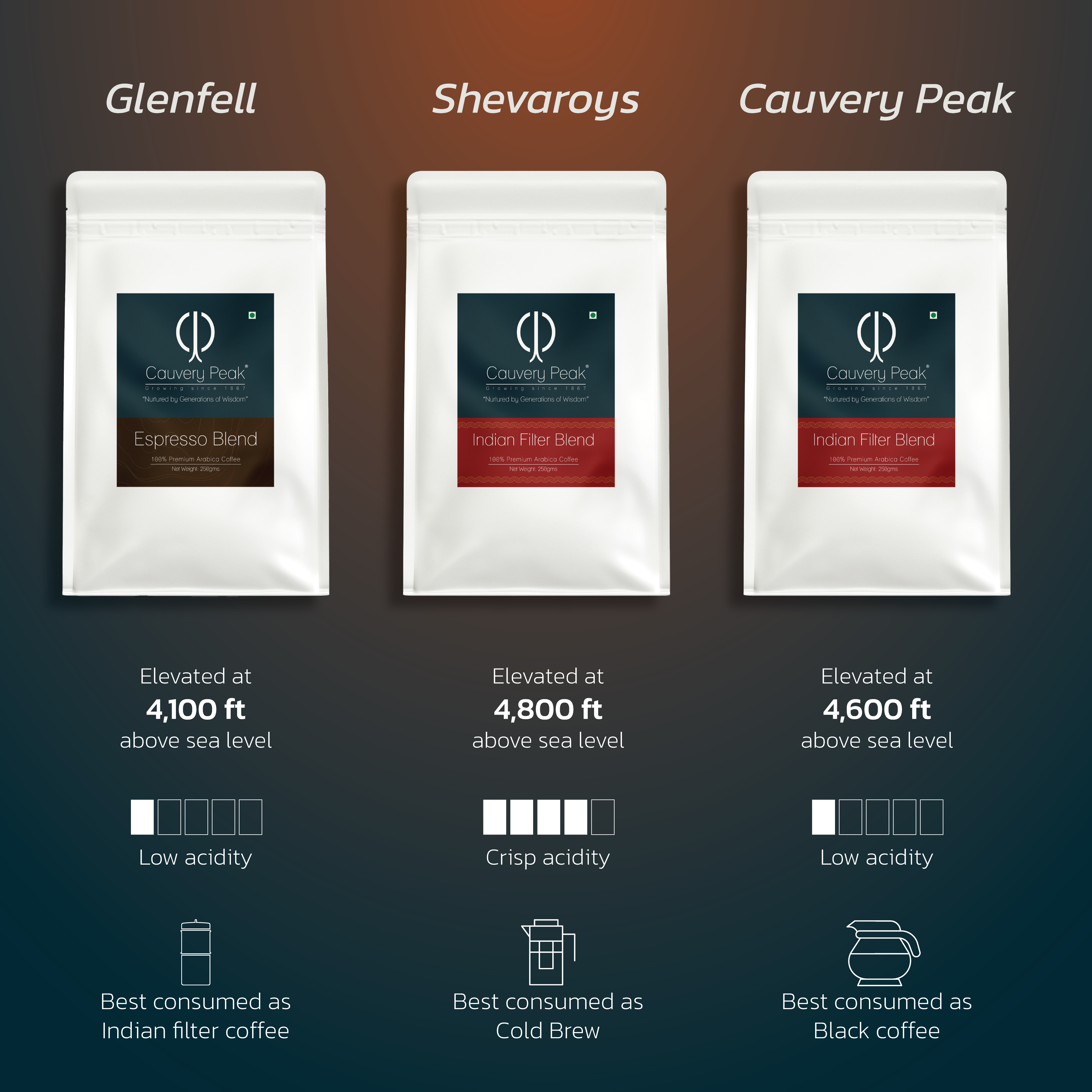 3 SINGLE ESTATE SAMPLER PACK