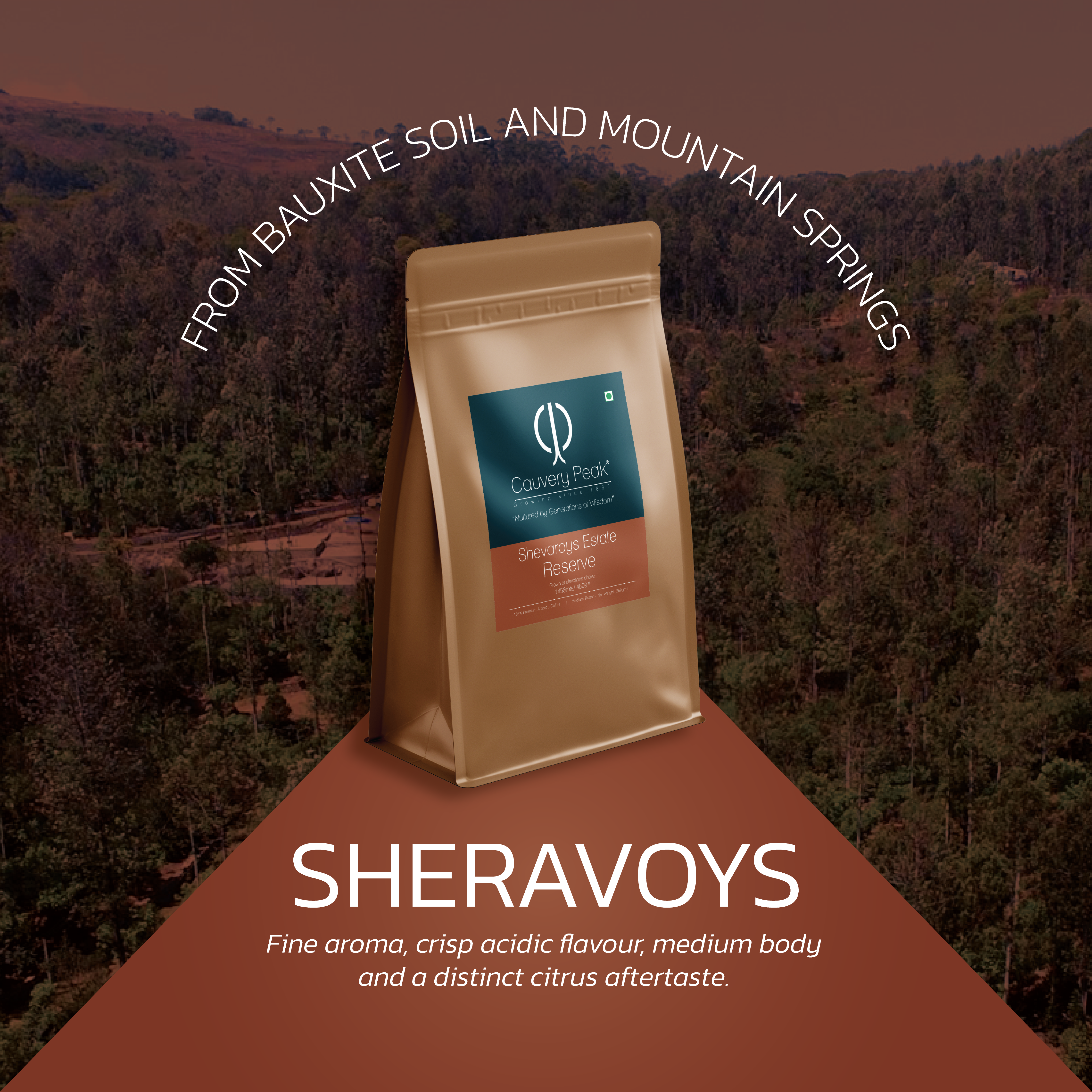SHEVAROYS