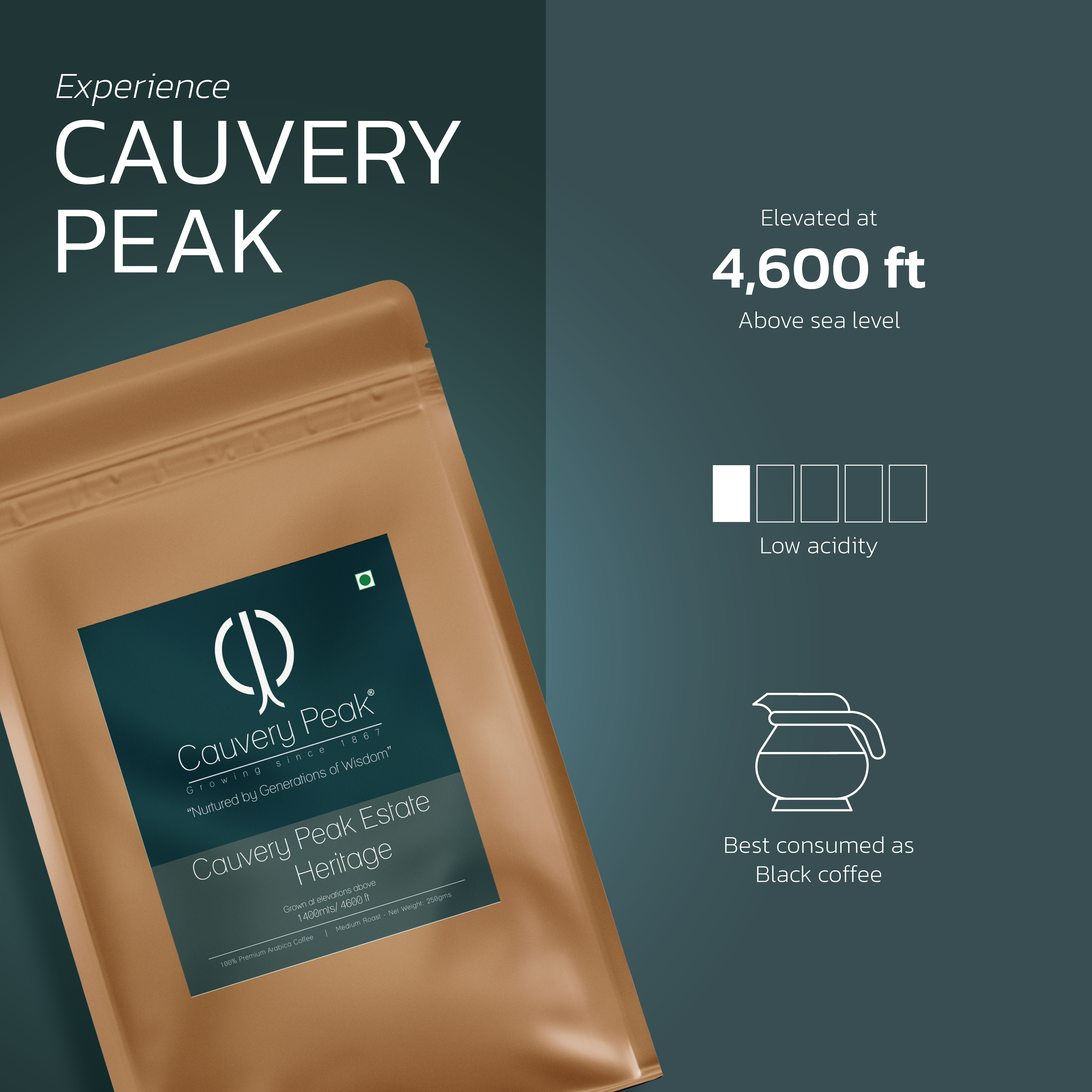 CAUVERY PEAK