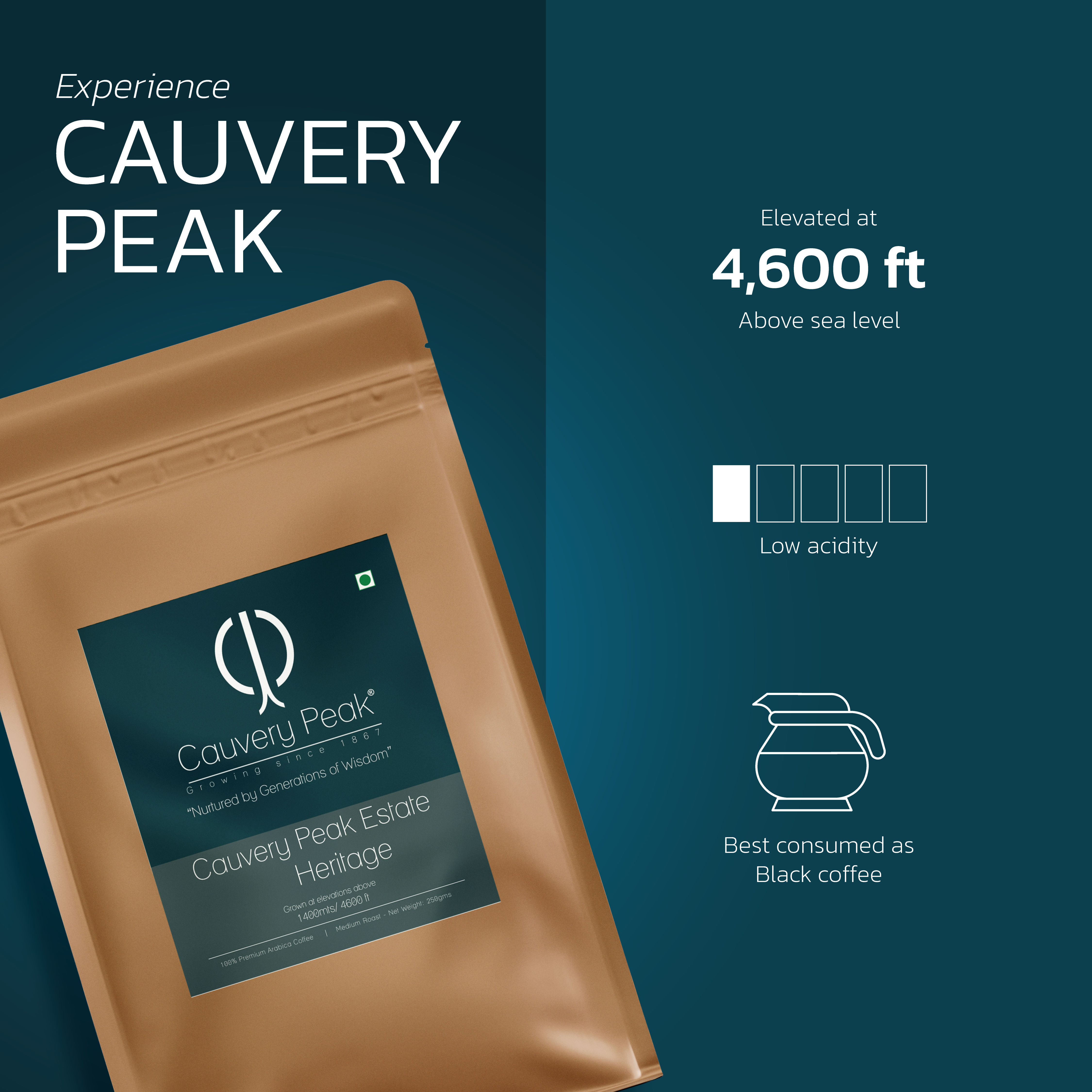 CAUVERY PEAK