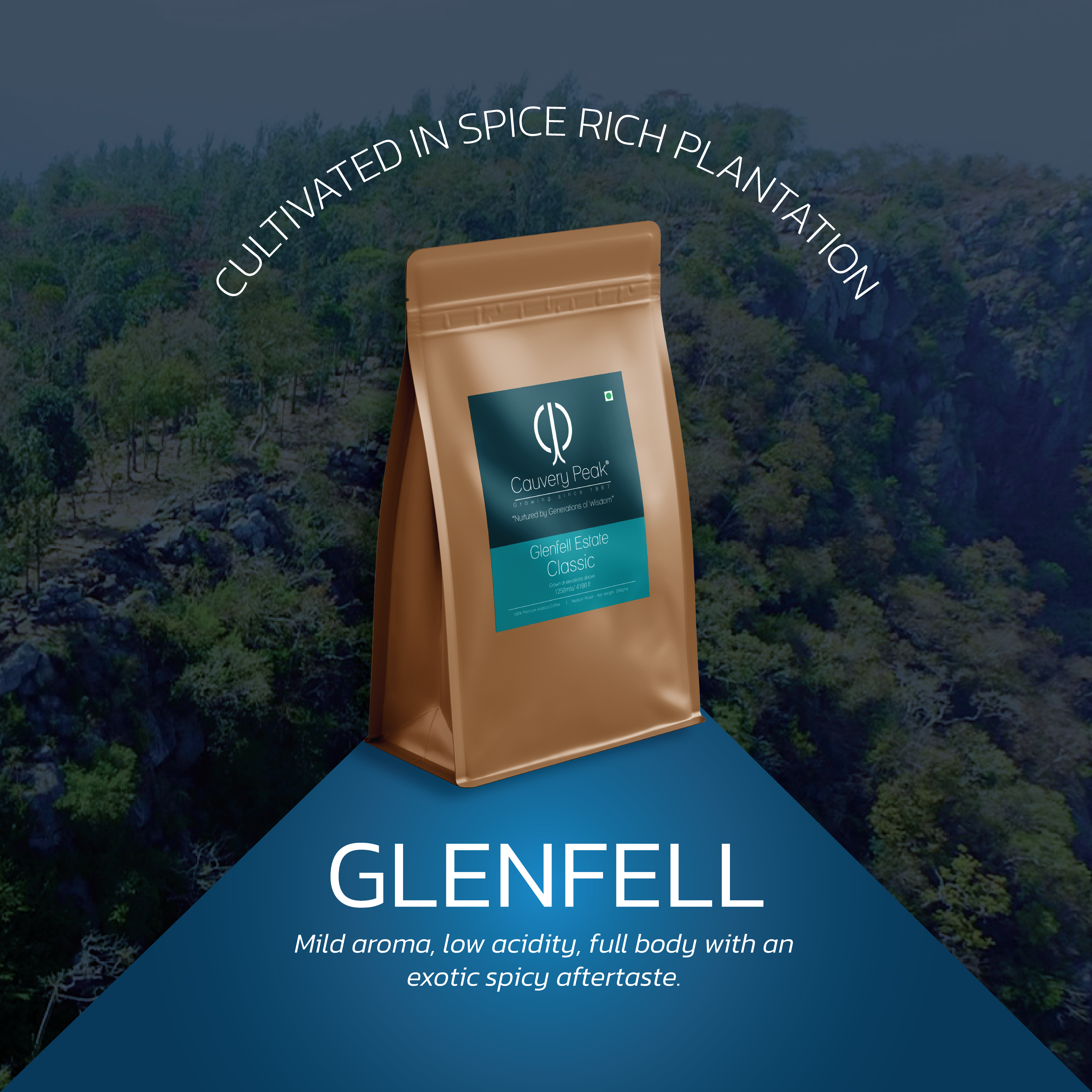 COFFEE SUBSCRIPTION