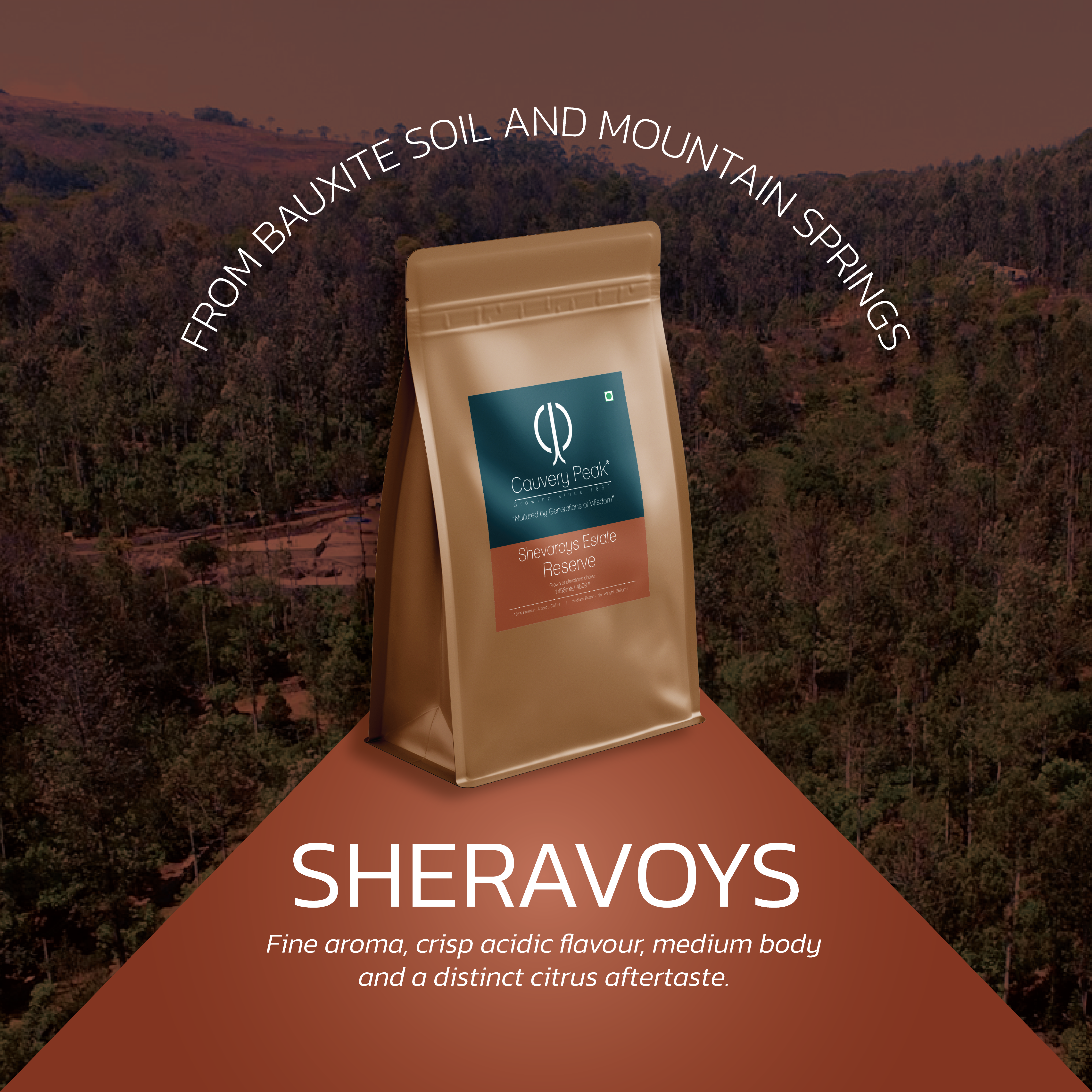 COFFEE SUBSCRIPTION