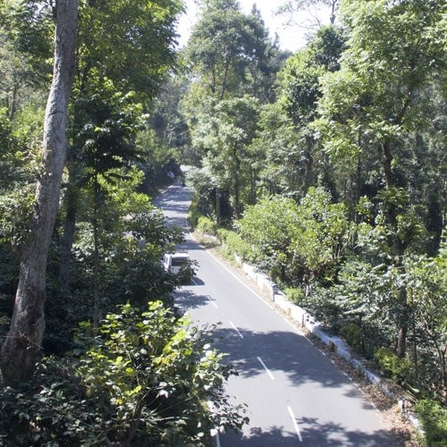 GLENFELL