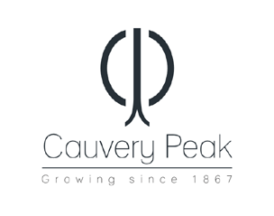 Cauvery Peak