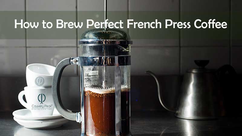 How to Brew Perfect French Press Coffee